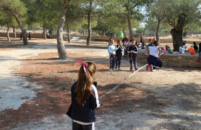  crianças brincando entre as árvores